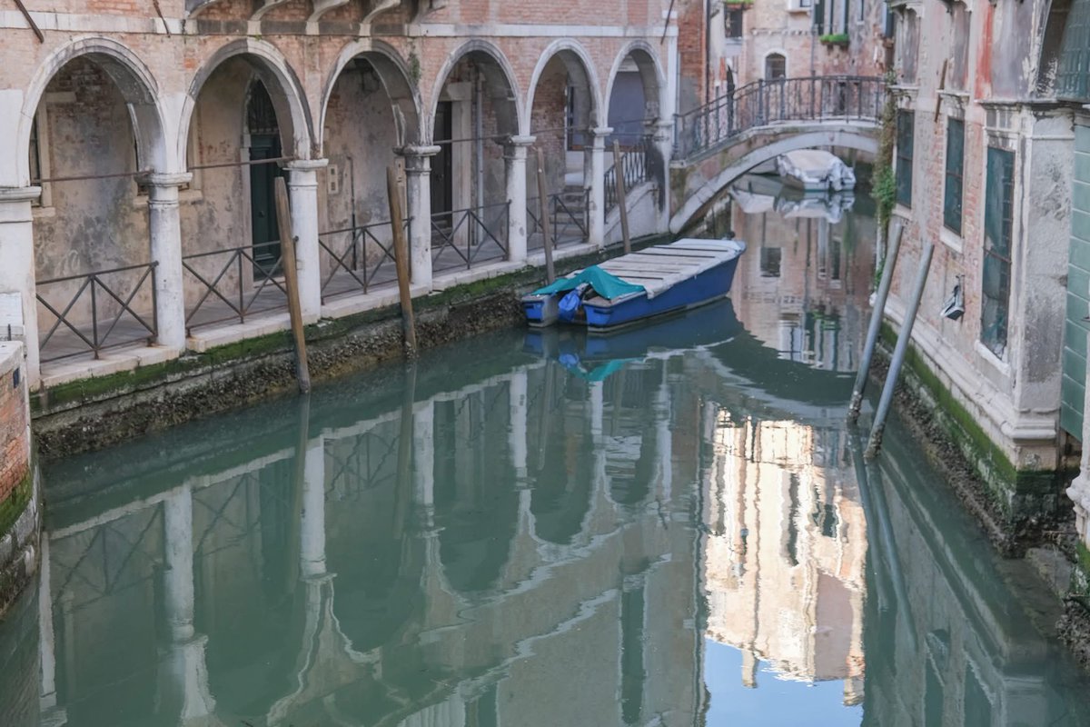 Stefano Mazzola tweet media