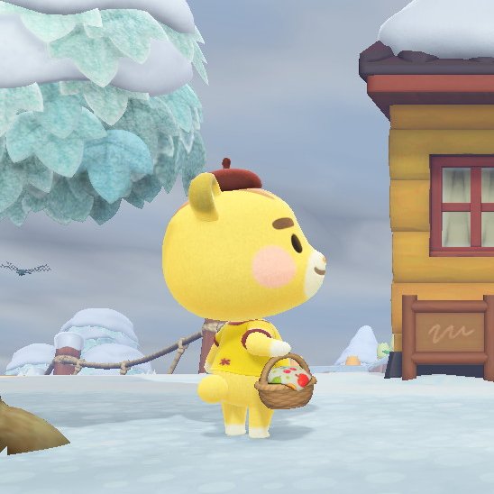 MARTY WITH HIS LITTLE BASKET 😭😭😭😭