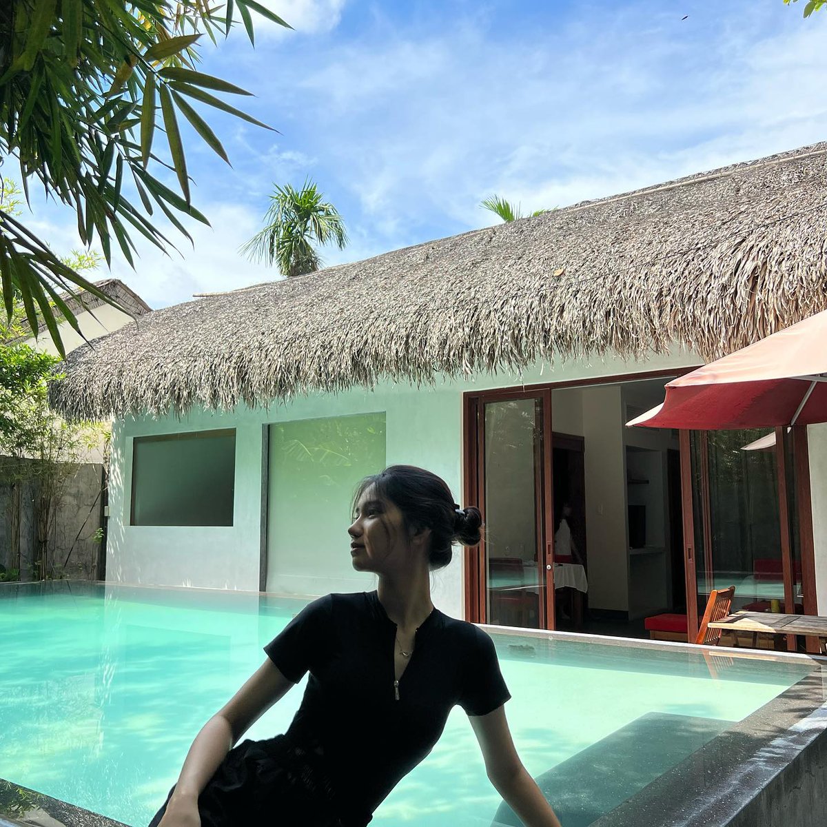 freddy herrera tweet media