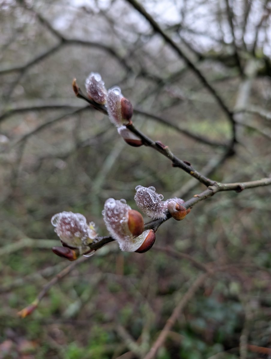 Haslemere Museum tweet media