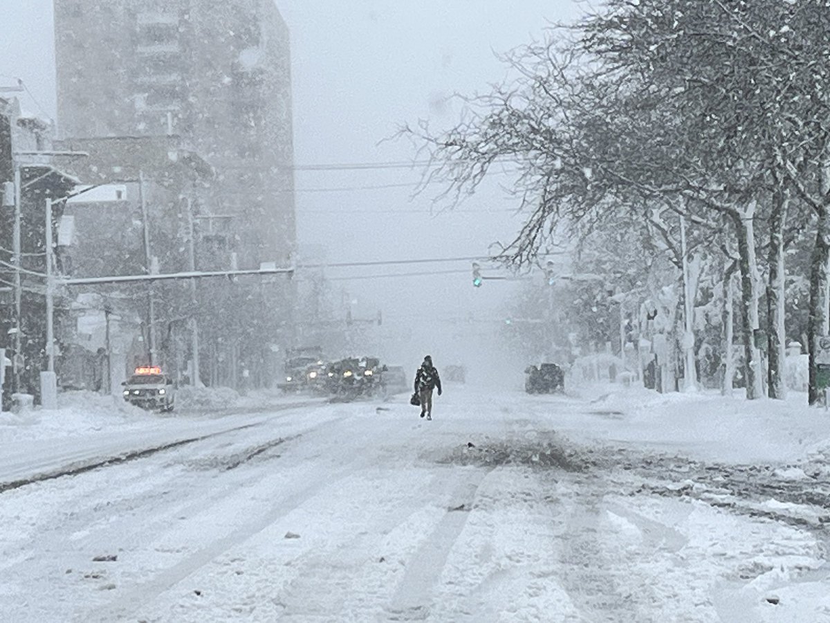 Madeleine Wright tweet media