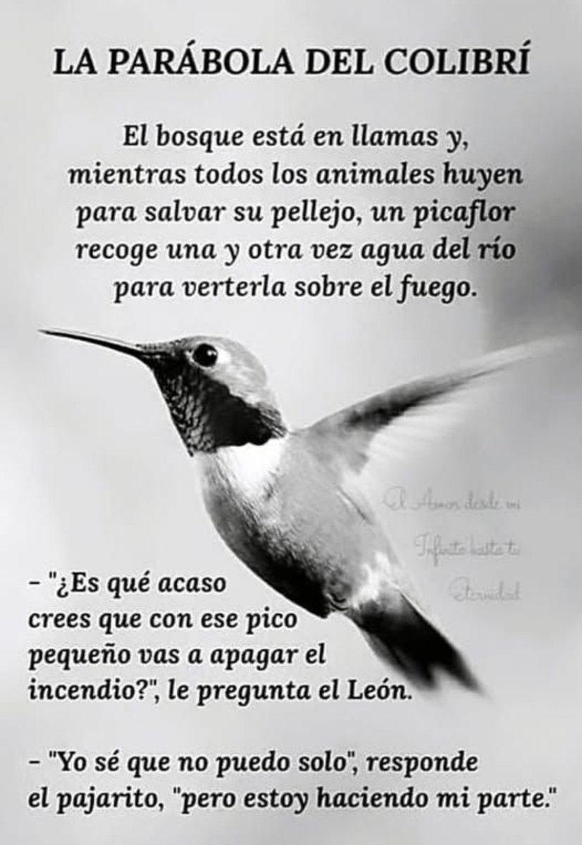 Dr_Blazquez's tweet photo. Parábola del colibrí vía https://t.co/uasM7BaVte https://t.co/vGrfW9ynFX