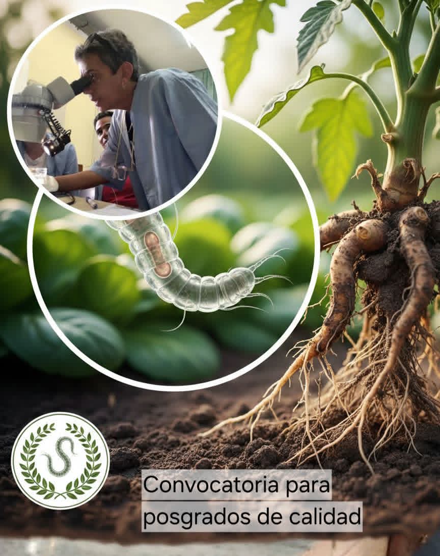 CubaMES's tweet photo. 📚🏆✅️ Facultad de Ciencias Agropecuarias – UNISS 🔬🧪 Desde el 24/2/26: 1️⃣ Conferencia: Identificación básica de nematodos agalladores (Meloidogyne spp.) 2️⃣ Taller teórico-práctico: Diagnóstico y prevención en cultivos 🌱
ℹ️📸 Facultad de Ciencias Agropecuarias #uniss
#Cuba https://t.co/BWr10Qhehw