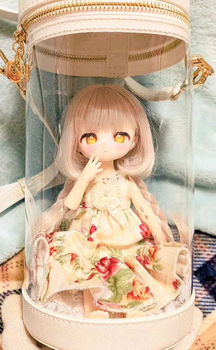 ※ドール写真※ 可愛い〜〜座っても入るのめっちゃいいな〜中にクッションとか入れたげよ〜 #TinyFox
