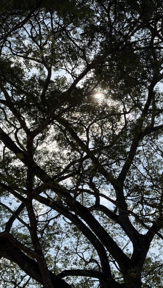 Build Jakapan Brasil 🇧🇷 tweet media