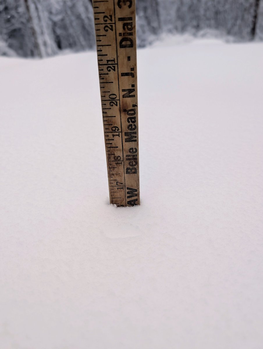 acorn farmvets 🐄🐑🐐🐝 tweet media