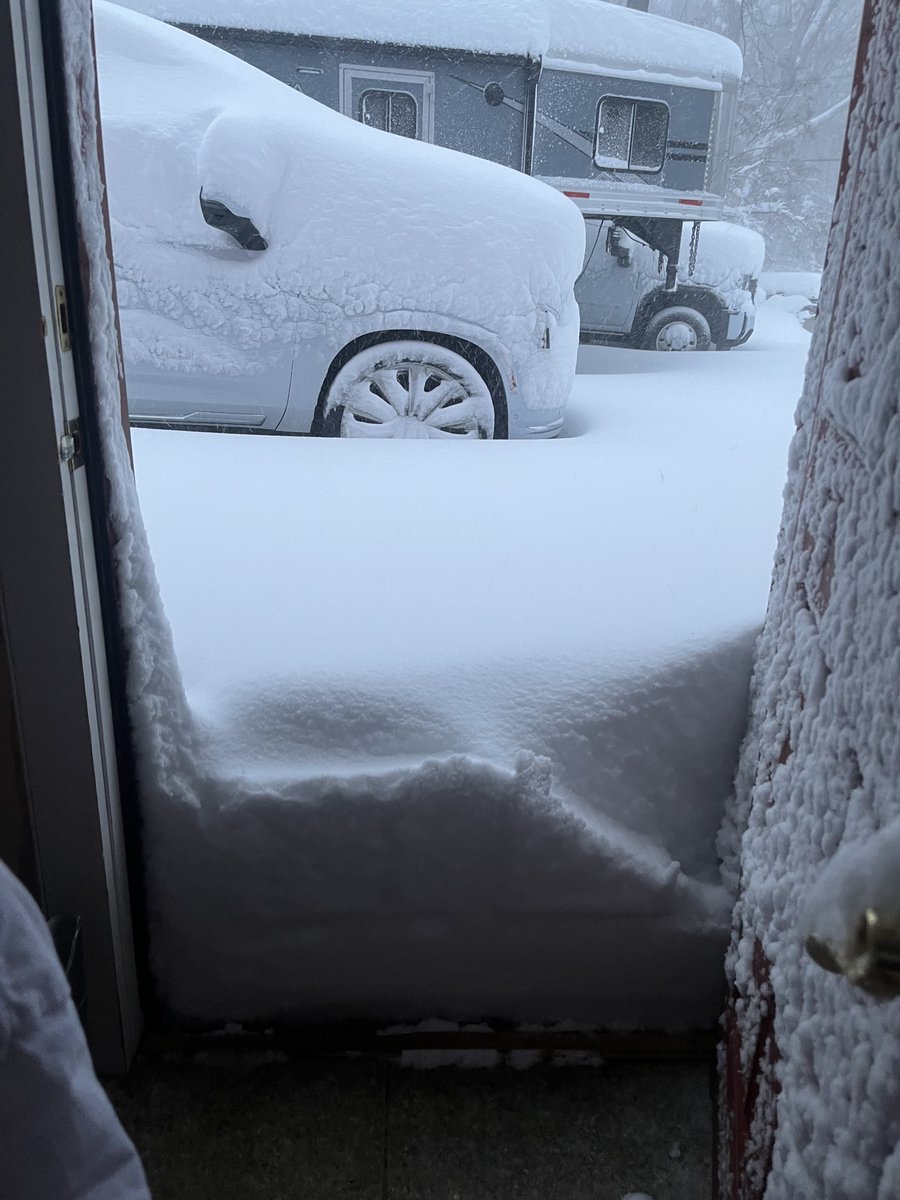 Josh Man tweet media