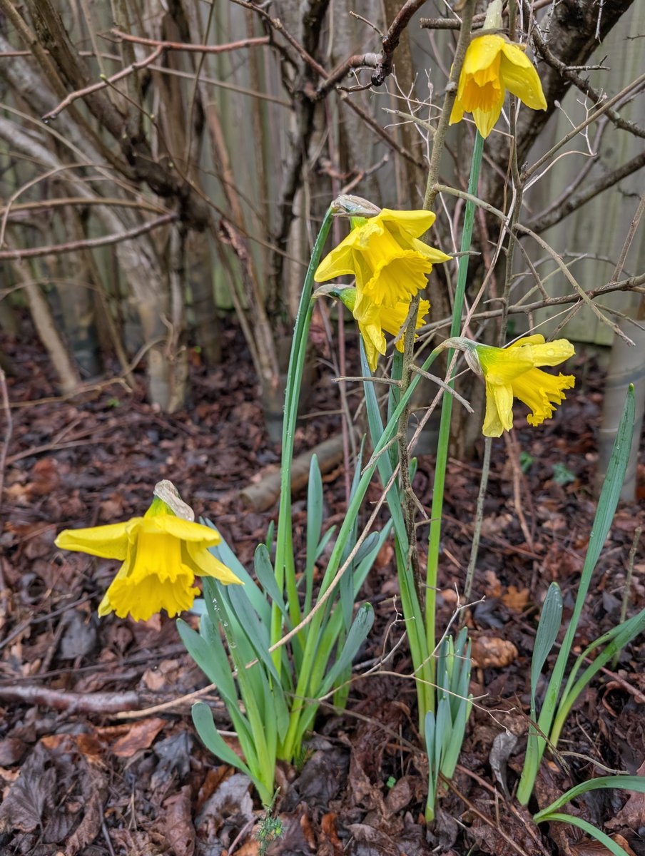 Haslemere Museum tweet media