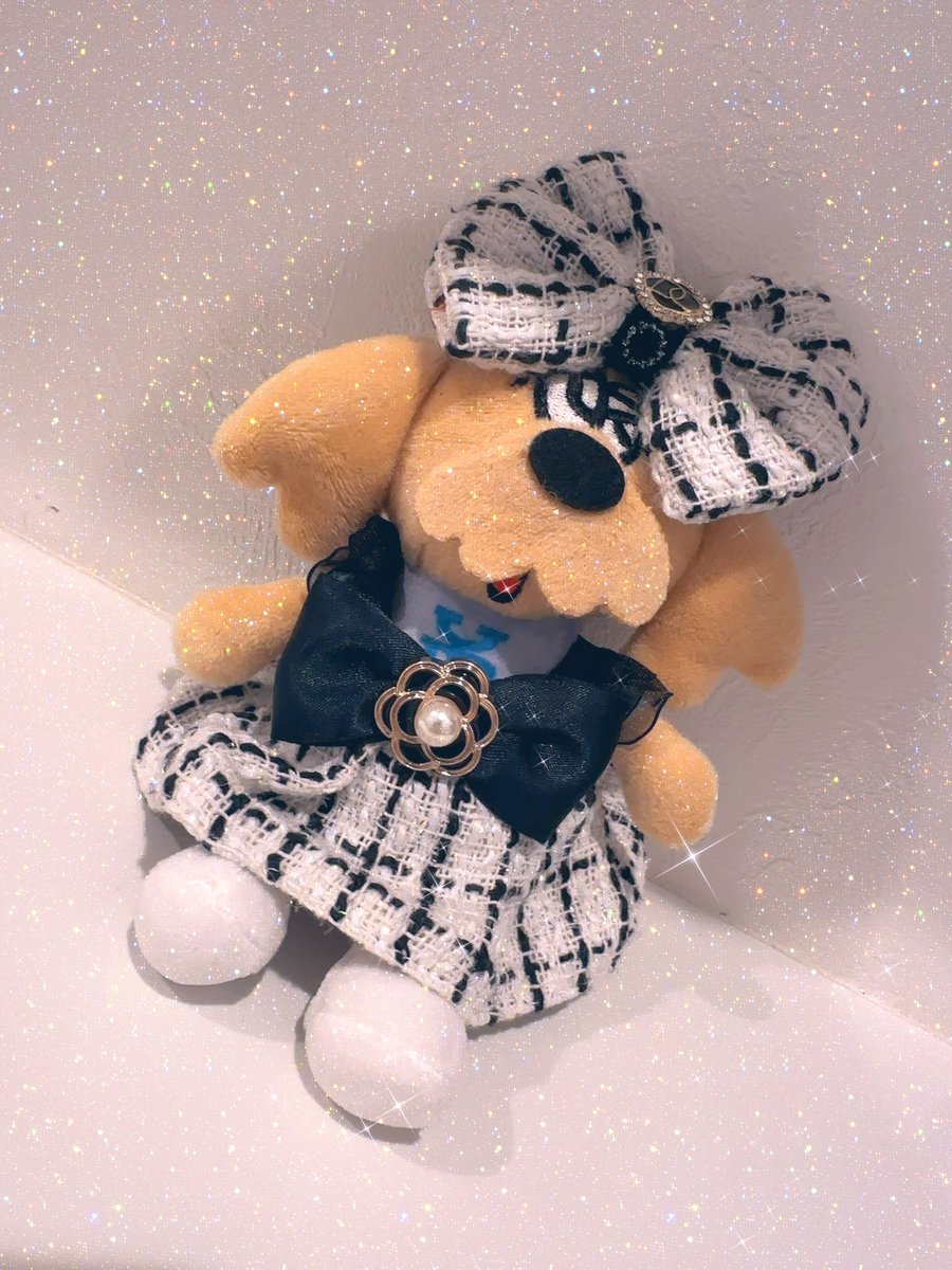 国際フォーラムの日 誕生日プレゼント🎁に 頂いたYUURI Dog とりあえず