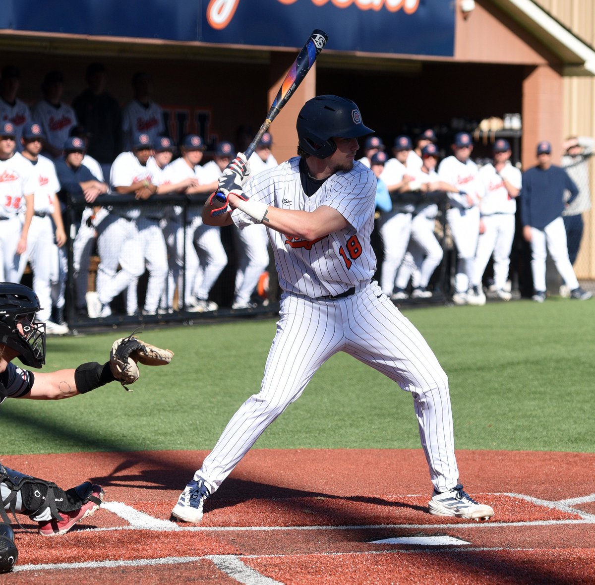 Carson-Newman Athletics tweet media
