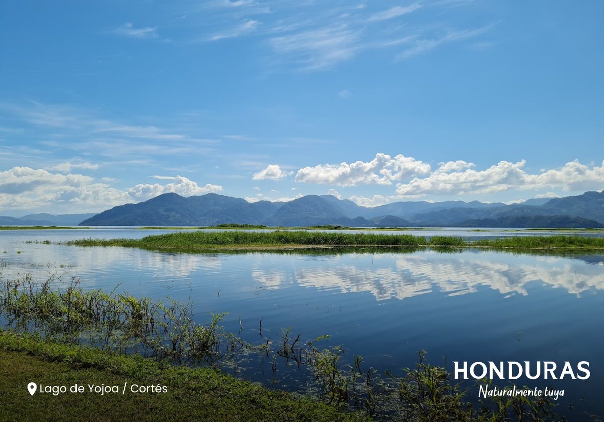 Visit Honduras tweet media