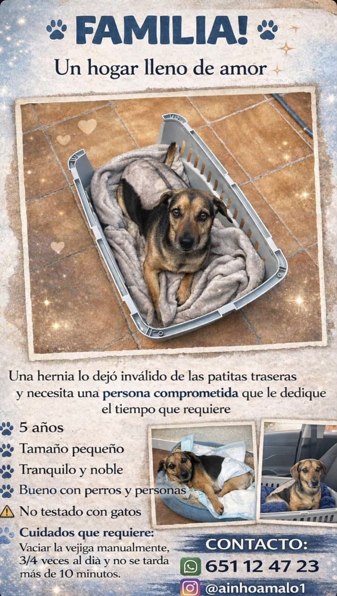 ladegirona's tweet photo. AYUDA Y DIFUSIÓN PORFA @ainhoamalo1 https://t.co/9jEal4C8LO