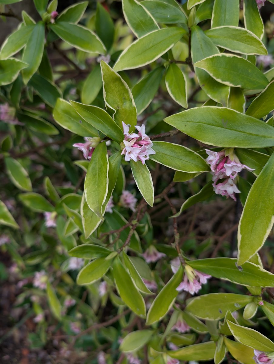Haslemere Museum tweet media