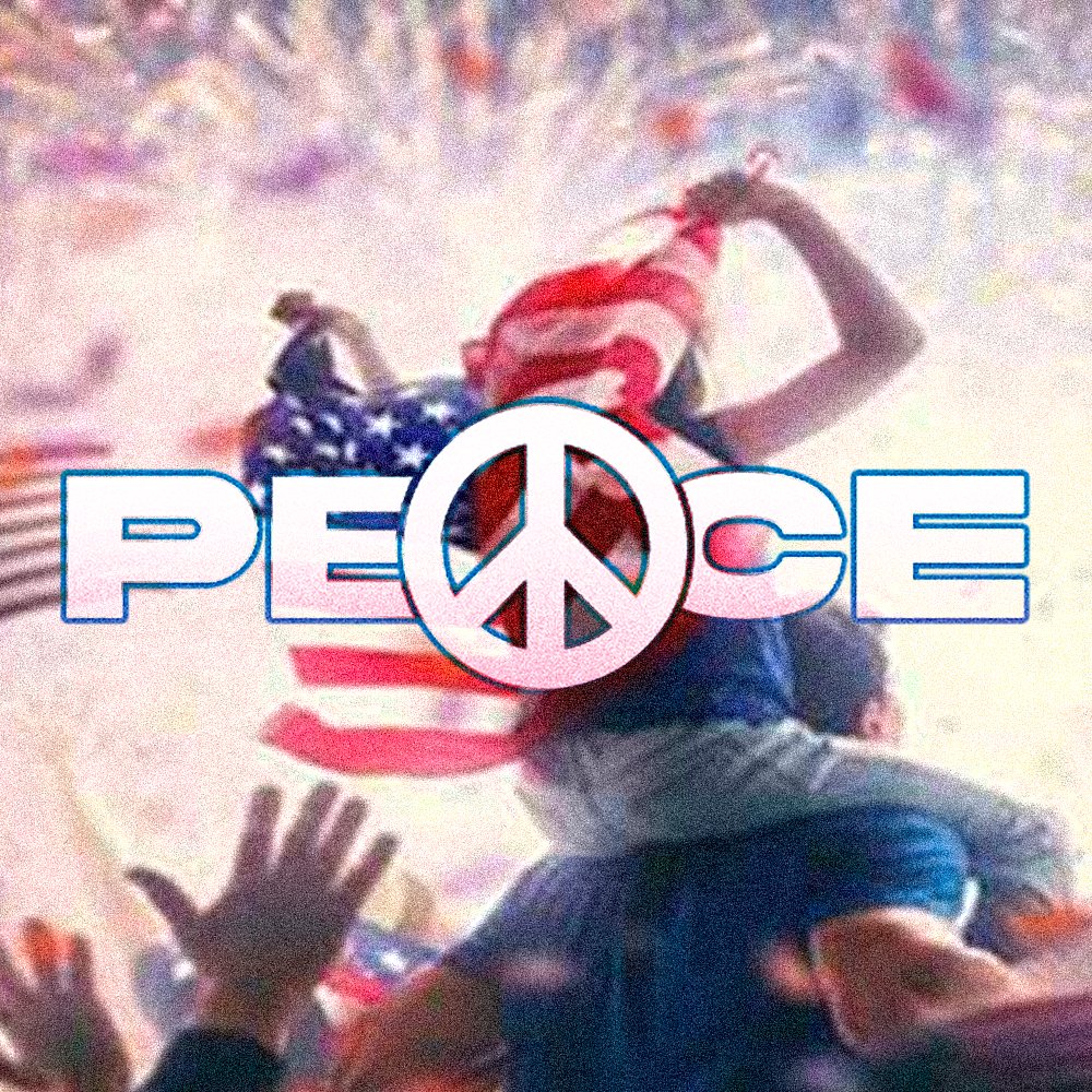 PEACE (@usd1peace) / Posts / X