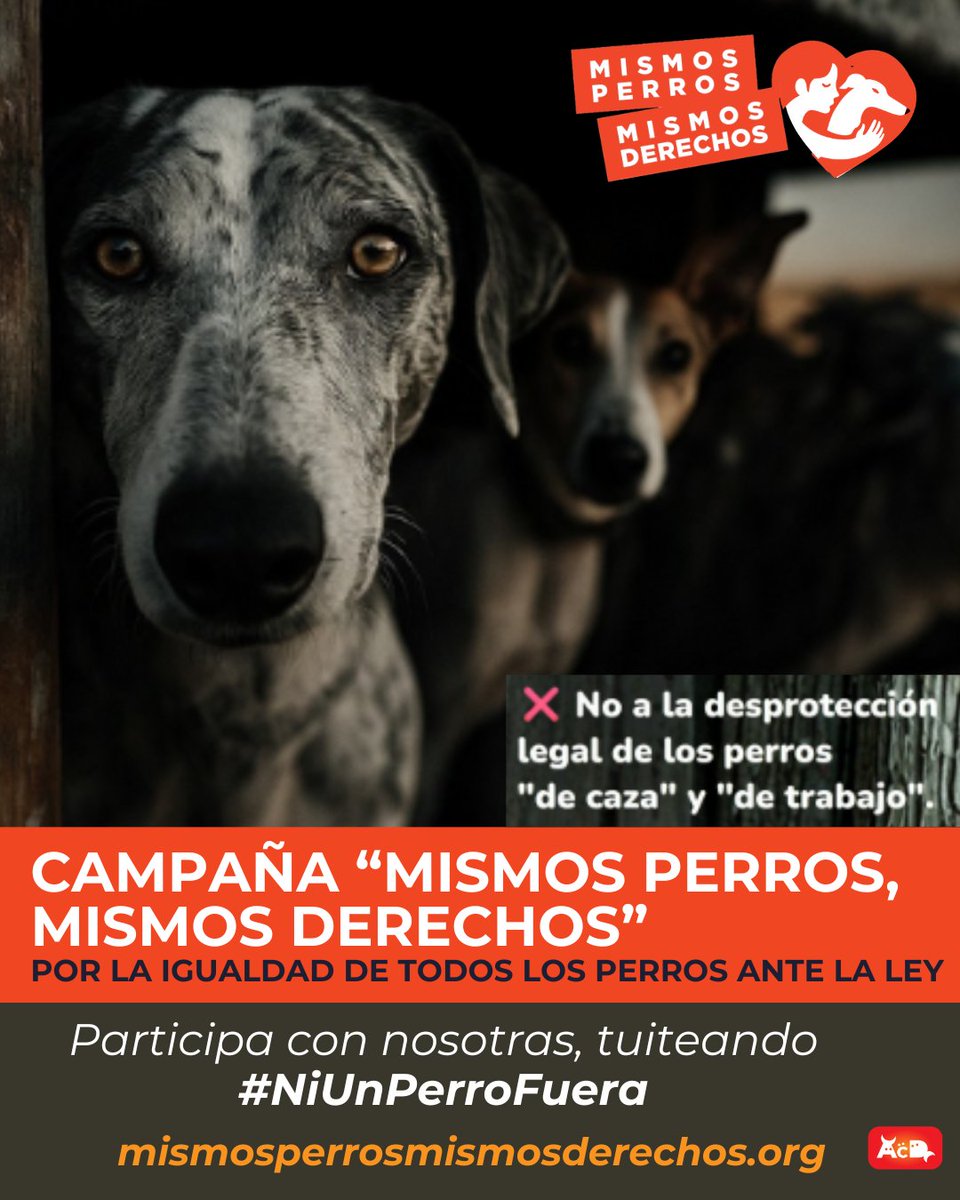 ¡Súmate! Pide respetuosamente a <a href="/pbustinduy/">Pablo Bustinduy</a> <a href="/AnimalesGob/">D. G. Derechos Animales</a> <a href="/gobmapa/">Ministerio de Agricultura, Pesca y Alimentación</a> <a href="/MSocialGob/">Ministerio de Derechos Sociales, Consumo y A2030</a> <a href="/JoserraBecerra/">Joserra Becerra 🌻</a> : incluyan a los perros "de caza" y "de trabajo" en el RD de Núcleos Zoológicos de Animales de Compañía. Son los más maltratados y los más desprotegidos.  Únete con #NiUnPerroFuera!