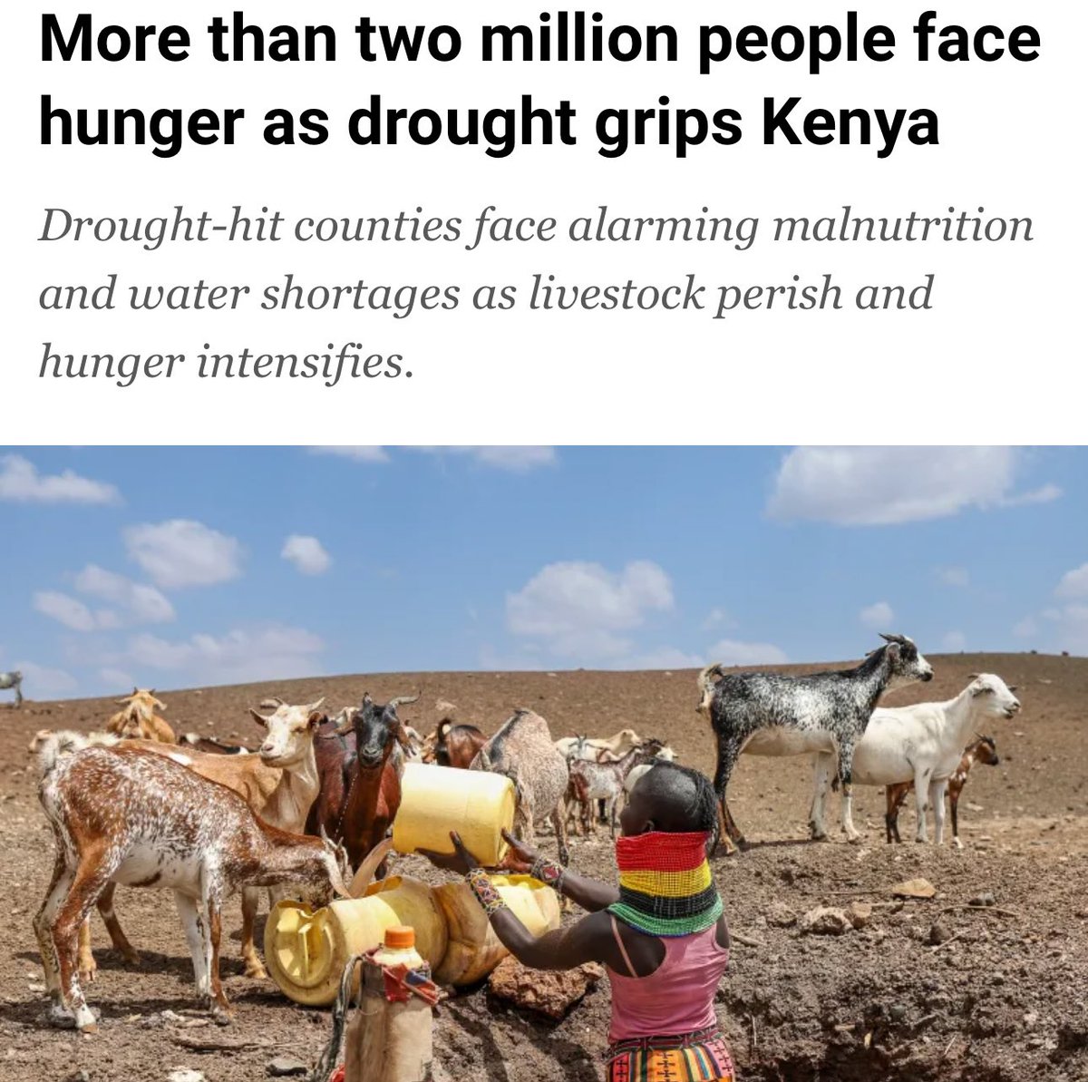 wanjiru tweet media
