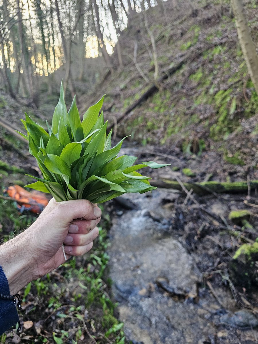 Mark Murphy tweet media