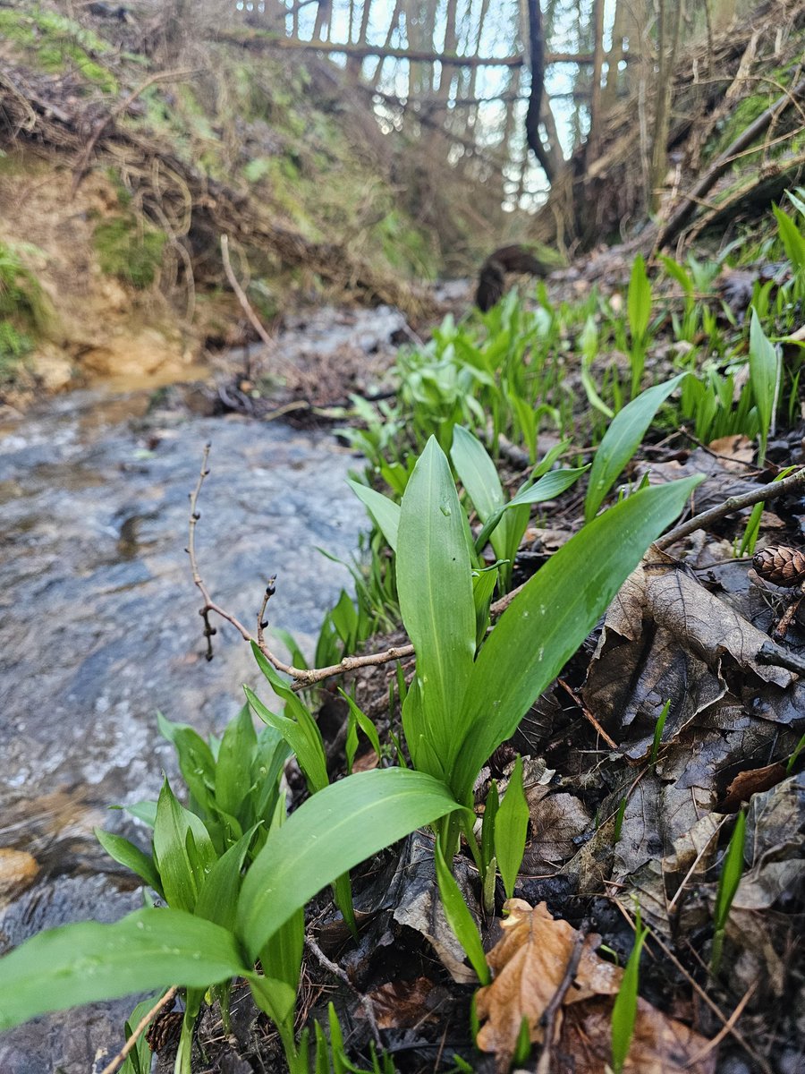 Mark Murphy tweet media