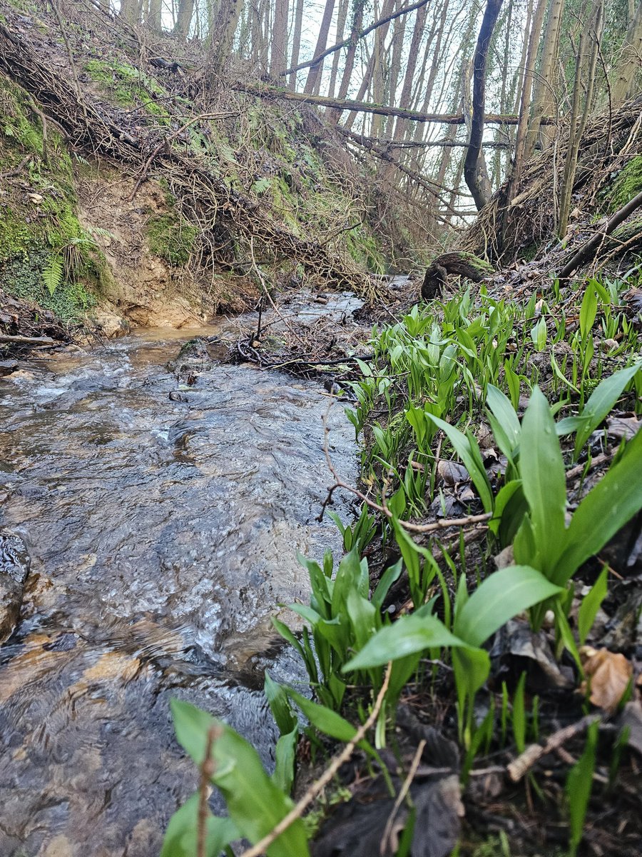 Mark Murphy tweet media
