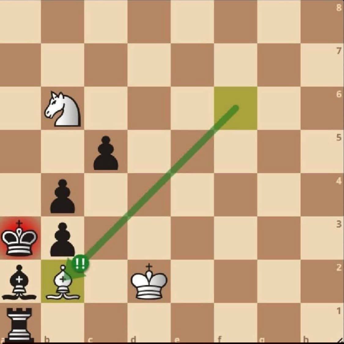 Chess Feed tweet media