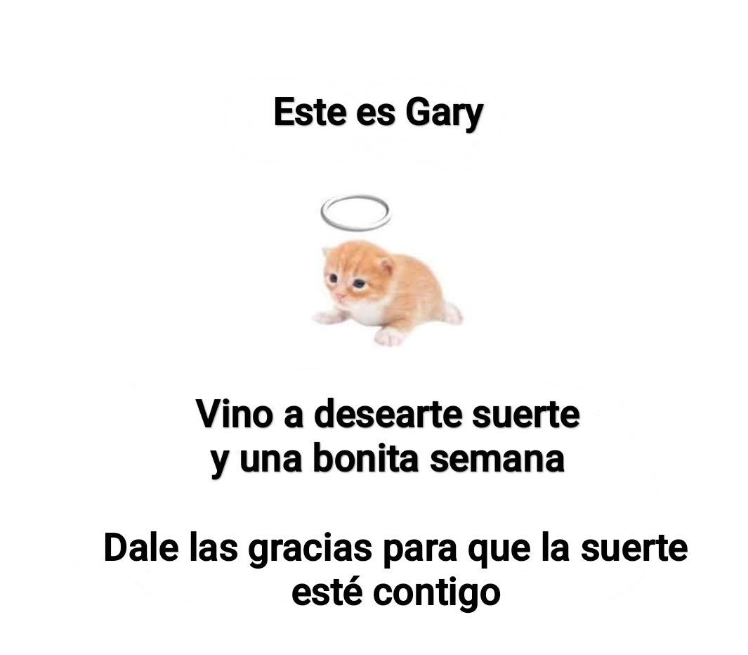 Cap Briagowsky tweet media