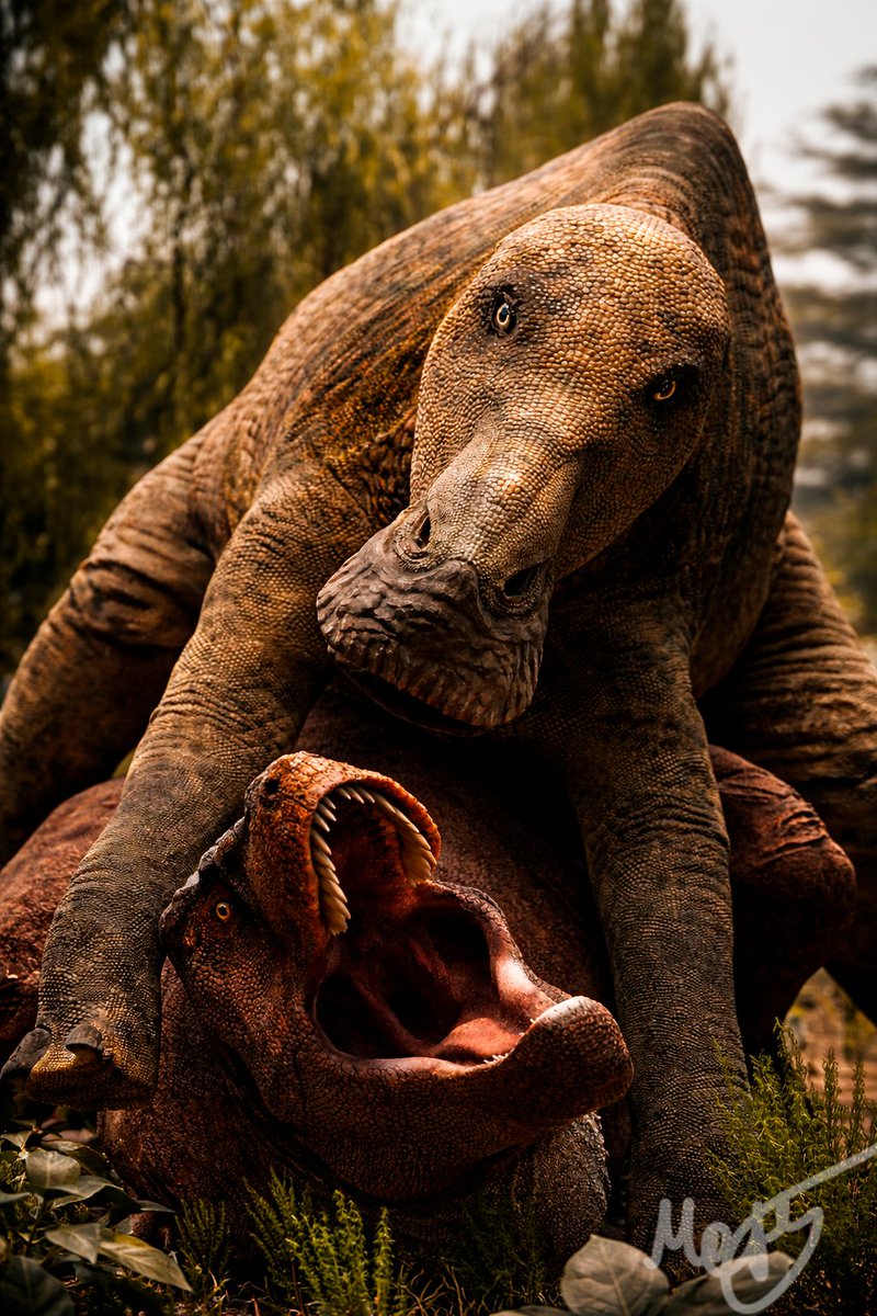 Hey everyone! I’m excited to share my latest project — a scientific video featuring my original animations.  

Do you know how did T. Rex hunt?  

If you enjoy it, we’ll definitely keep making more like this!

youtu.be/Y2_h7OrsurU