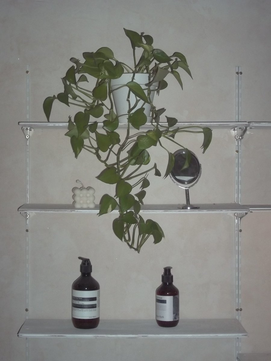 겨울이 끝나기 전에 녹지 않을 사랑 담기⛄️🩷