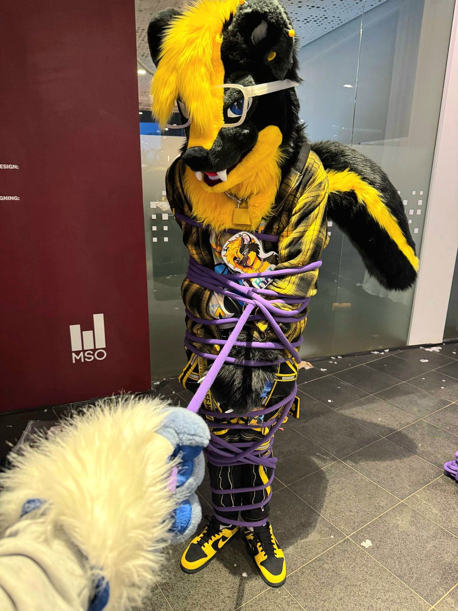 This is what happens when my owners leave me in Finch's care at NFC 🪢🦨🇸🇪

I didn't even misbehave!! 😠😠😠

📸 - <a href="/FinchCollie/">Finch 🐾 🐾 NFC</a>