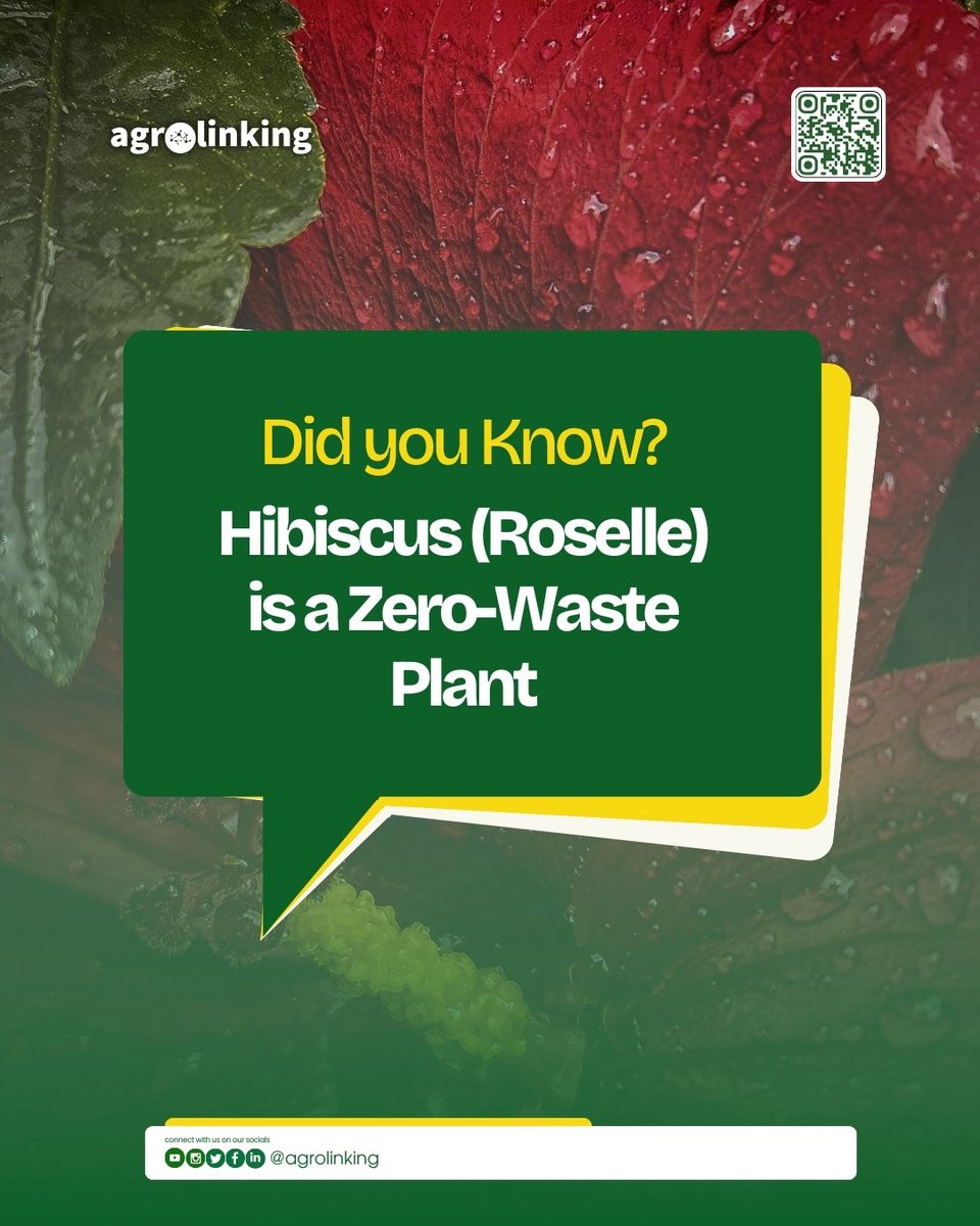 Agrolinking tweet media