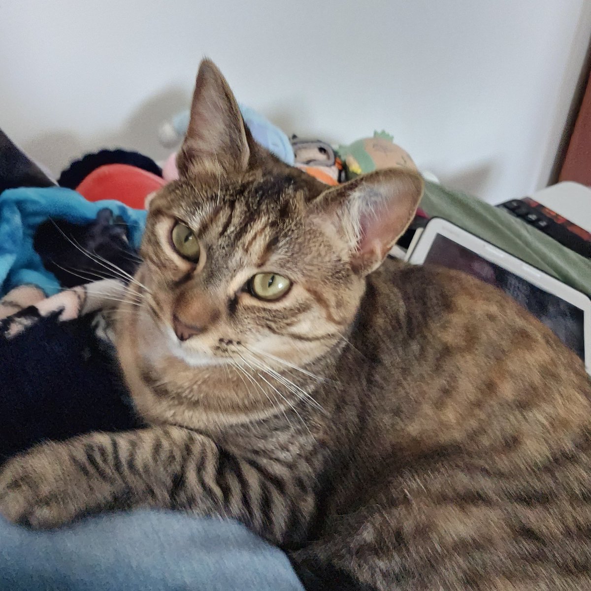 she says hi to you ♥️