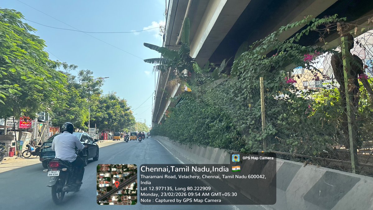 Jaihere's tweet photo. ⁦@ChennaiTraffic⁩ ⁦@chennaicorp⁩ these thorny bushes outgrowing and posing threat to motorists from under Velachery bus stand flyover…please get these trimmed and maintained https://t.co/8ZQVK5842L
