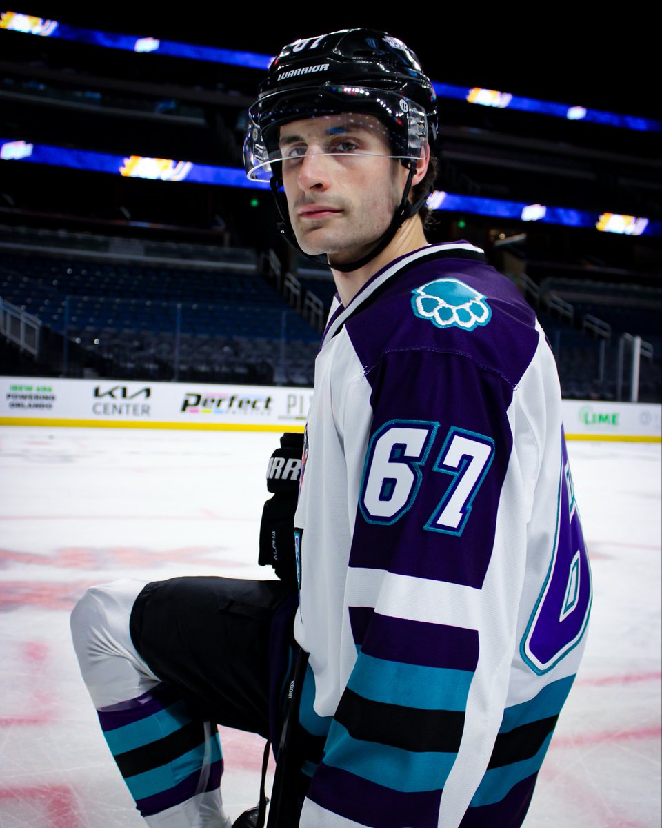Orlando Solar Bears tweet media