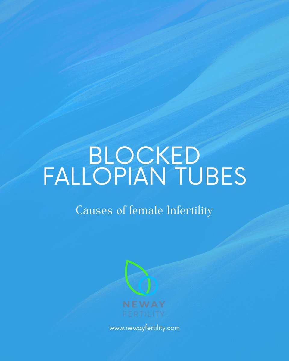 NewayFertility's tweet photo. Blocked fallopian tubes are a common cause of infertility. When a tube is blocked or damaged, sperm may not reach the egg — or a fertilized egg may not make it to the uterus.  Learn more ⤵️
https://t.co/VQk3NAjD6N
#blockedfallopiantubes #infertilityawareness https://t.co/6VeDRg8bgt