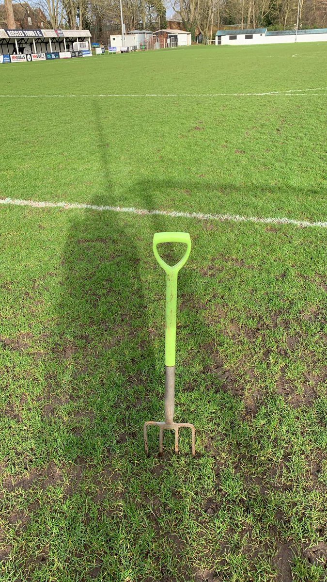 Shaun Soloman 💙 tweet media