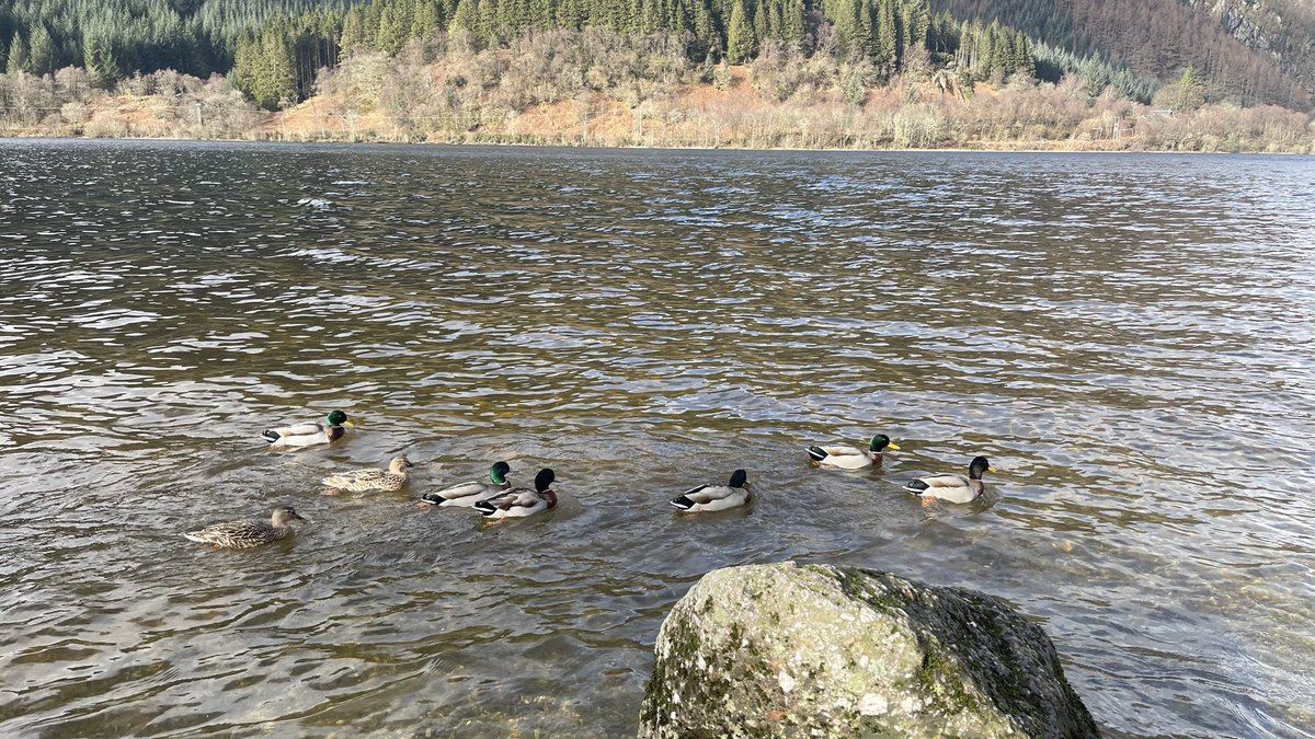 A wee road trip to recharge the batteries &amp; shake off the winter blues.
Listening to open.spotify.com/episode/52O1x5…
&amp;
open.spotify.com/episode/3QqaI3…

Brought back so many memories &amp; LOL moments. <a href="/DarcyWAHF/">JFM ♀️ Handmaiden of Satan 😂😉</a> <a href="/crit_gen/">Jenny Reilly</a> 👏🏻
Well worth a listen.
<a href="/UnsilencedProj/">Unsilenced Project</a>