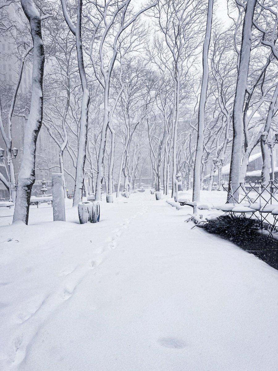 Bryant Park tweet media
