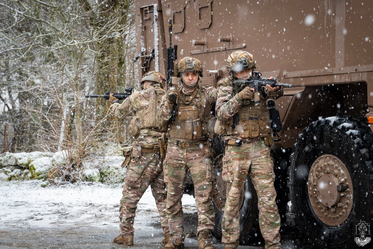 Ministère des Armées et des Anciens combattants tweet media