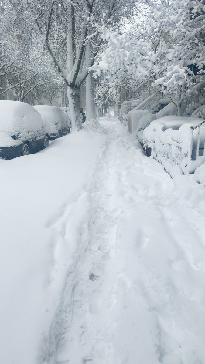 Wolf Warner🤖👑🎧 tweet media