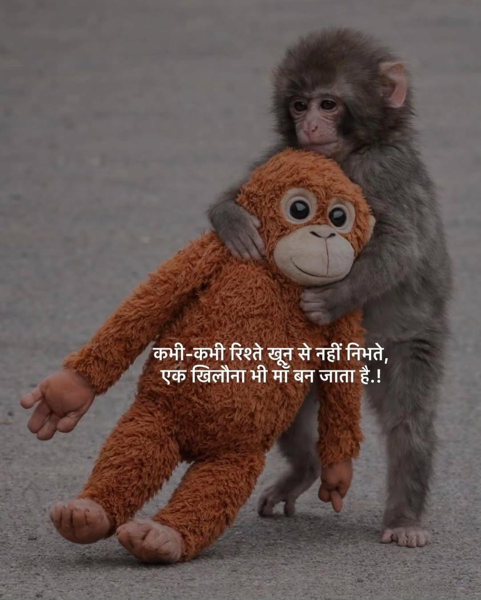 Balveer6217025's tweet image. मां ने ठुकराया तो खिलौना ही सहारा बन गया, 
ममता नकली थी या खिलौना सच्चा लग गया 💯

 #monkeyseemonkeydo #trandingpost #gulzarkibate