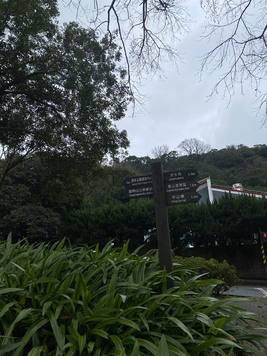 ชอบเวลาเดินเล่นแล้วเจอดอกไม้ริมถนน