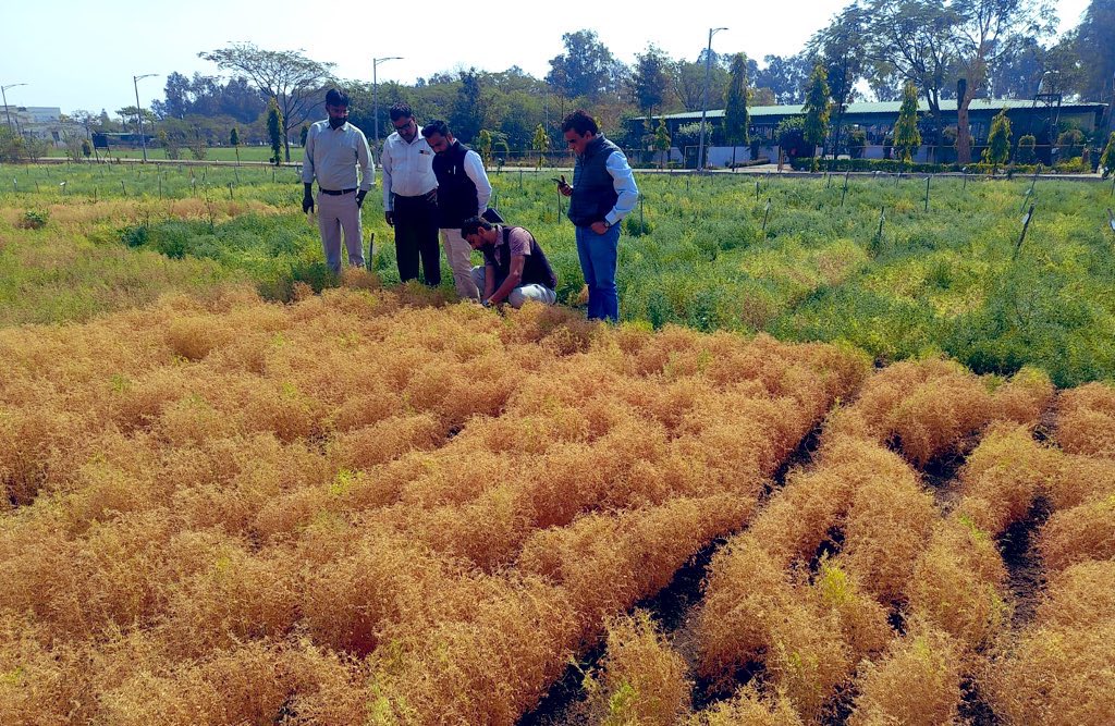 Ashutosh Kumar Yadav tweet media