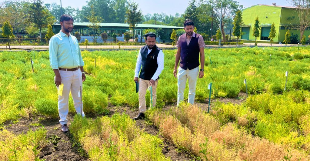 Ashutosh Kumar Yadav tweet media