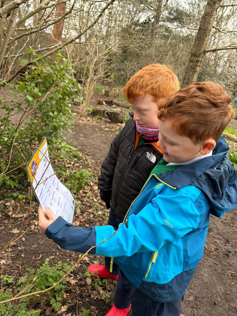 LEOforestschool's tweet image. Year 4 @HurstParkSchool had a fantastic day at Forest School! 🌳✨They explored winter tree ID, searched for minibeasts, tree climbing and did our bit for the planet with a litter pick ♻️🍂Well done, Year 4👏🌍 #ForestSchool #OutdoorLearning