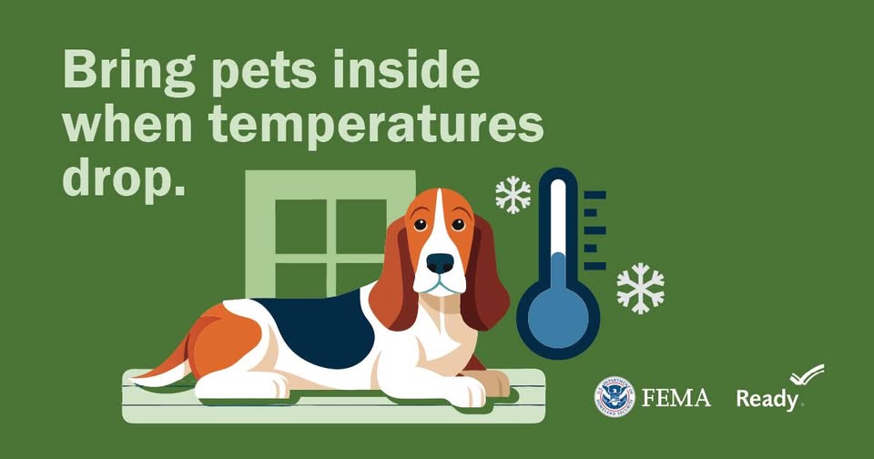 scgovEOC's tweet photo. Emergency Management officials remind residents that pets should not be left outside during the cold weather. Those who need to be outside overnight or during the early morning hours are encouraged to dress in several warm layers and limit skin exposure to the wind. https://t.co/OMAVvprzW0