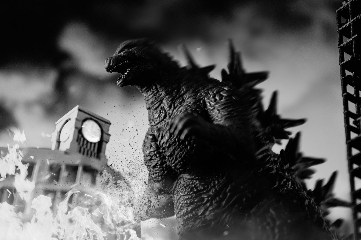 Revolutionaryphotography21 tweet media