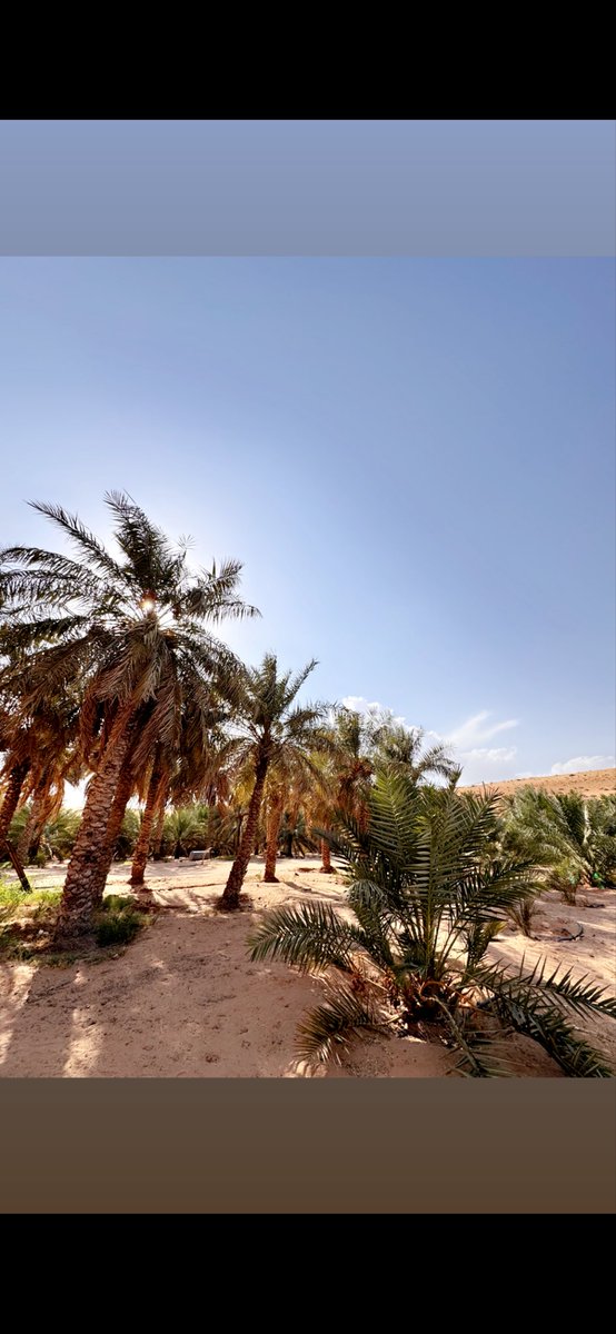 #العوازم
من المرابط المعروفة في نجد للعوازم
مربط خيل / مضحي بن سودان الهدلاني العازمي  في ابوجص
في عالية نجد بالقصيم