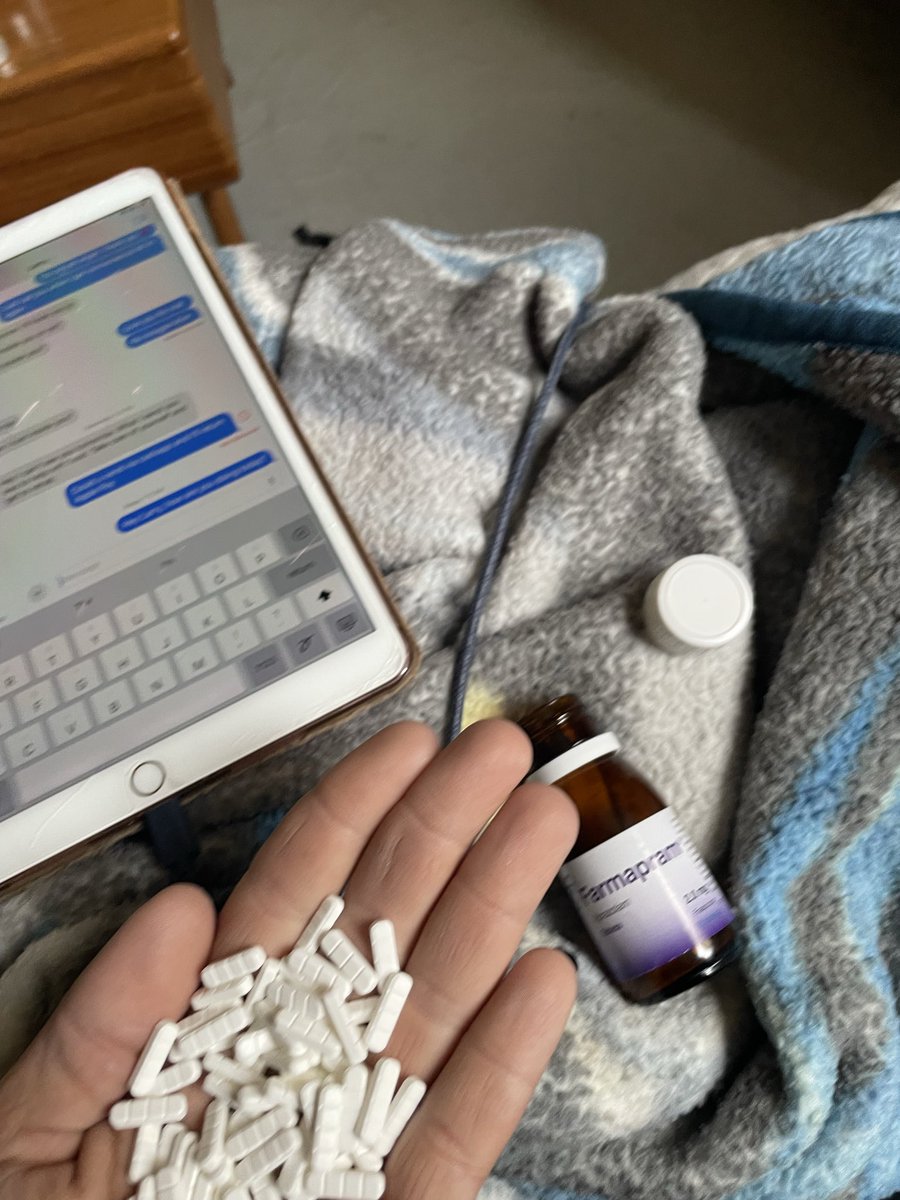 🇵🇸 tweet media