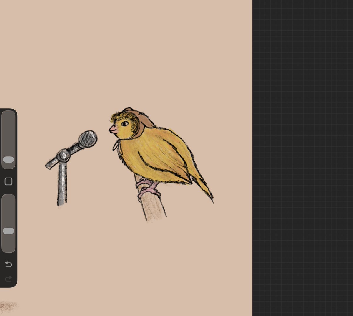 A dog? Or a bird? #yaelokre  #keathOsk