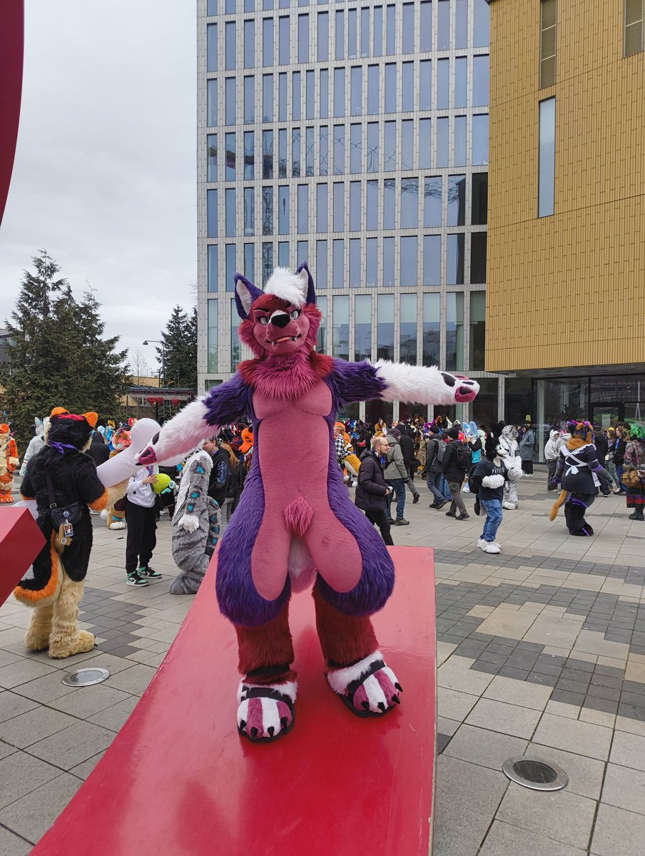 Wacky Zacky tweet media