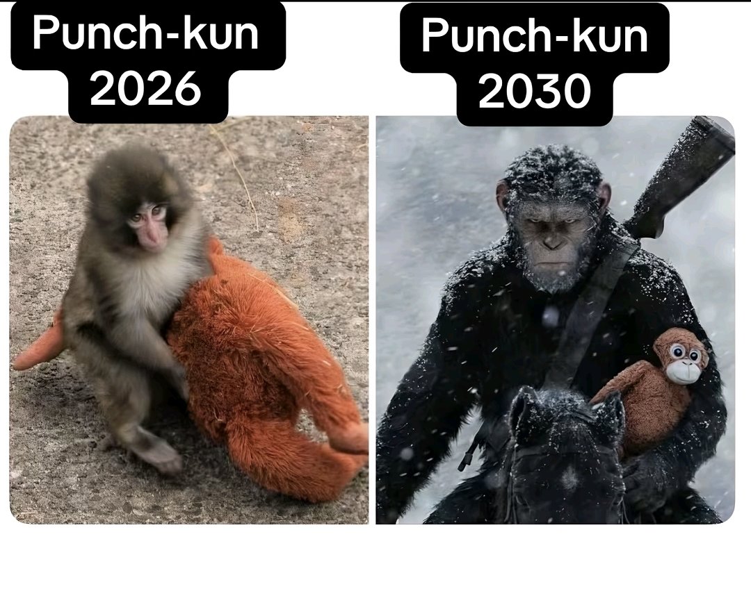 FJWY (@fjwy1307) on Twitter photo 